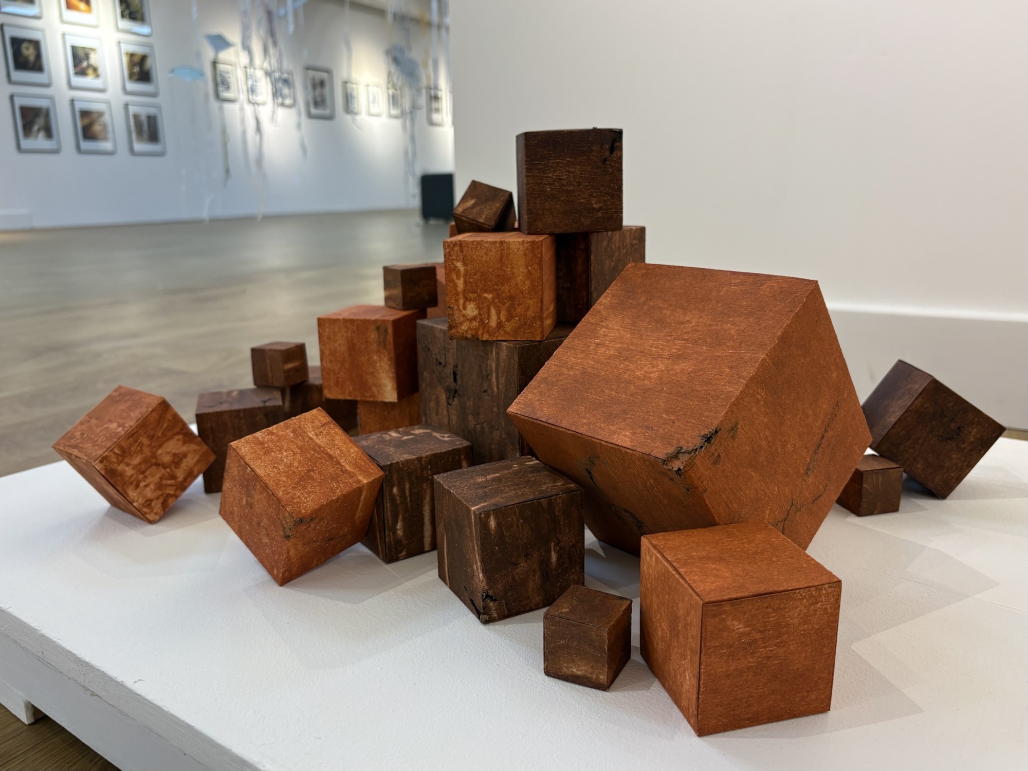 Image of Carolyn Murphy's laser cut 3D paper structures, called Wear and Tear in the Chester gallery